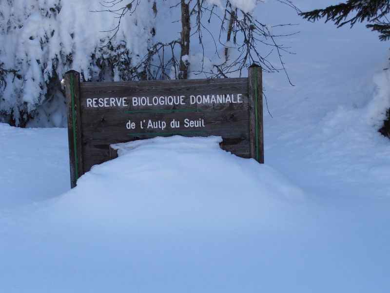 #4 biodiversité : à protéger biodiversité : à protéger