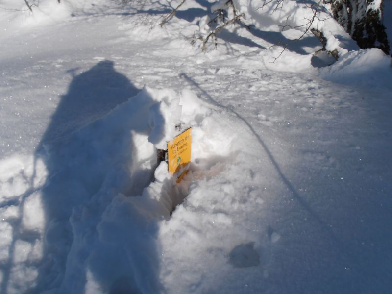 #7 chercher la descente : sur les varvats chercher la descente : sur les varvats