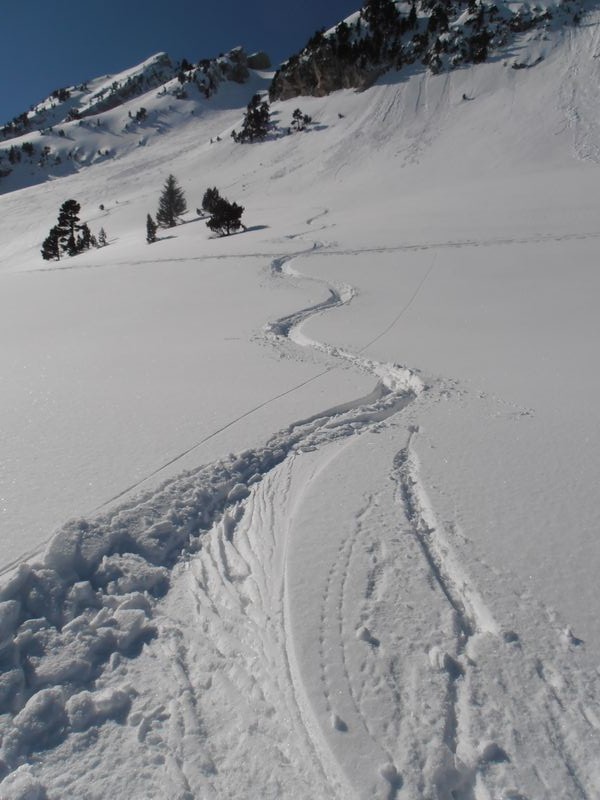#14 bien bon : bonne poudre par endroit bien bon : bonne poudre par endroit