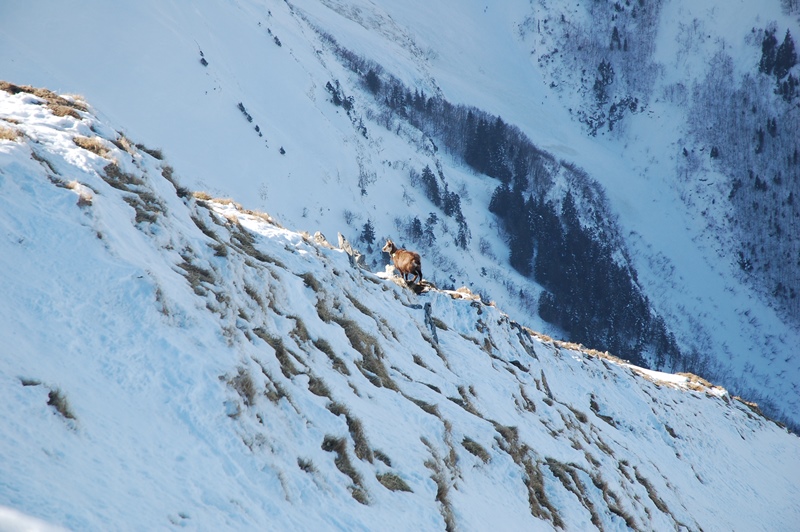 #5 Un spectateur : Il va falloir skier propre Un spectateur : Il va falloir skier propre