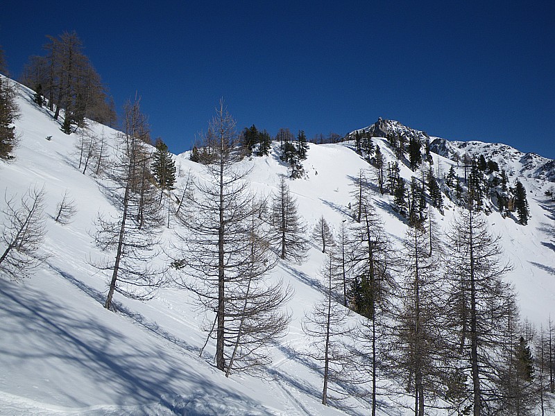 #13 Sous le Caïre Ponchu : La plaque partie le matin (au centre derrière les arbres) Sous le Caïre Ponchu : La plaque partie le matin (au centre derrière les arbres)