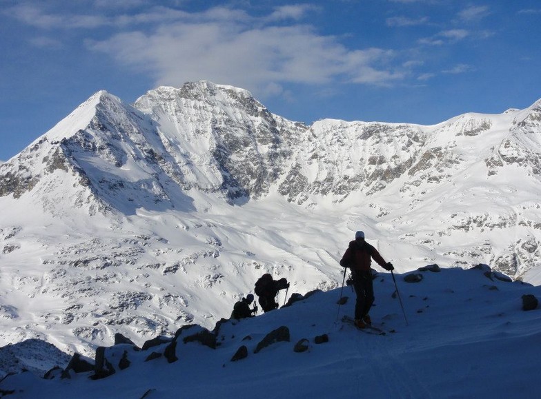 #15 Dos au Grand Combin et la Tour de Boussine Dos au Grand Combin et la Tour de Boussine