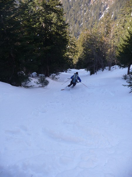 dans la forêt : très skiante finalement, on descend jusqu'à 1500 m avant de retrouver le chemin.