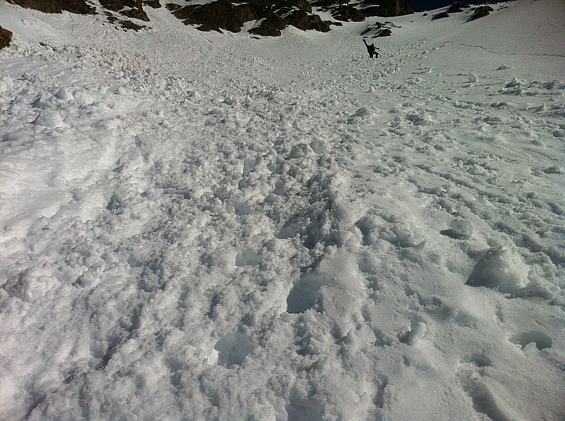 #9 COL DES LAUZIERES : QUELQUES PURGES... COL DES LAUZIERES : QUELQUES PURGES...