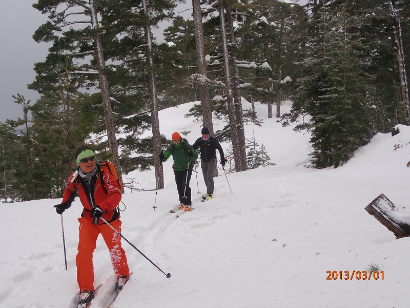 #3 Capu a Cuccula : Sous les pins lariccio Capu a Cuccula : Sous les pins lariccio
