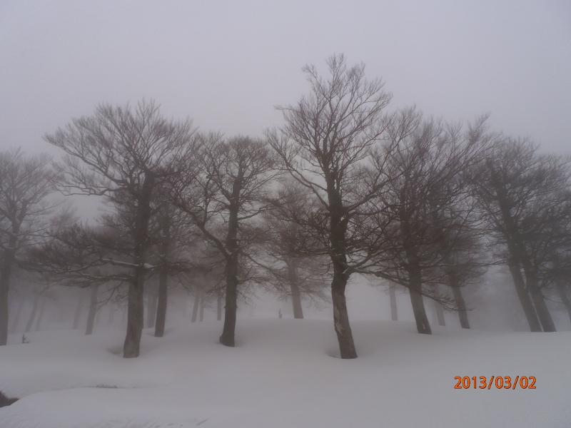 #13 Pinzi Corbini : Hétraie, paysage fantasmagorique. Pinzi Corbini : Hétraie, paysage fantasmagorique.