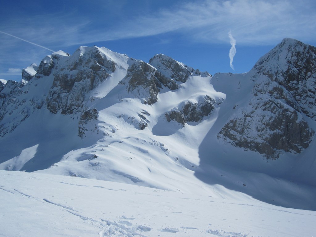 #5 Dent blanche : Bonnes conditions Dent blanche : Bonnes conditions