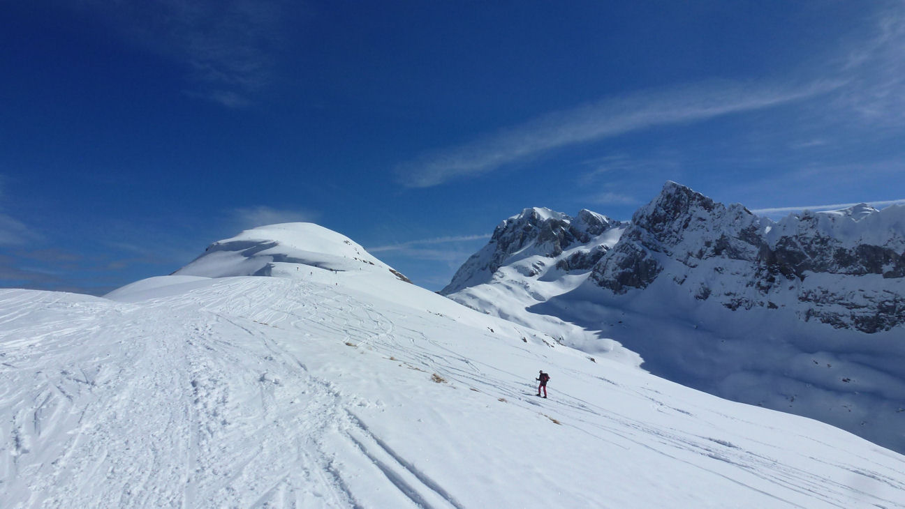 #3 sommet : dents blanches sommet : dents blanches