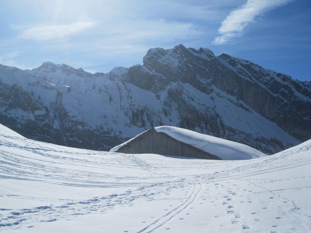 #1 Face à la chaîne du Criou : Chalet vers 1600m Face à la chaîne du Criou : Chalet vers 1600m