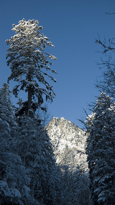 #6 Coulio pour Belledonneux : L Coulio pour Belledonneux : L'approche forestière offre tout de même quelques vues (notamment sur la Maurienne).
