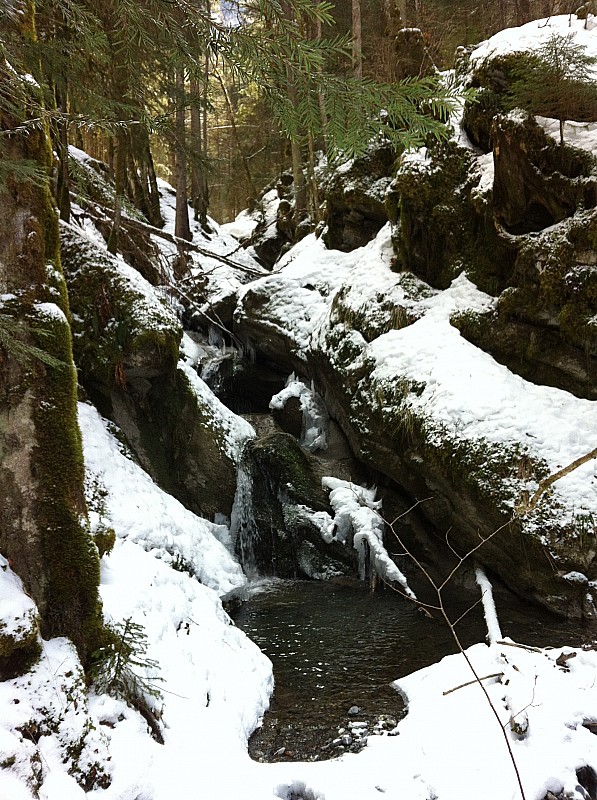 #8 Les truites : Passage du ruisseau pour retrouver la rive EST. Les truites : Passage du ruisseau pour retrouver la rive EST.