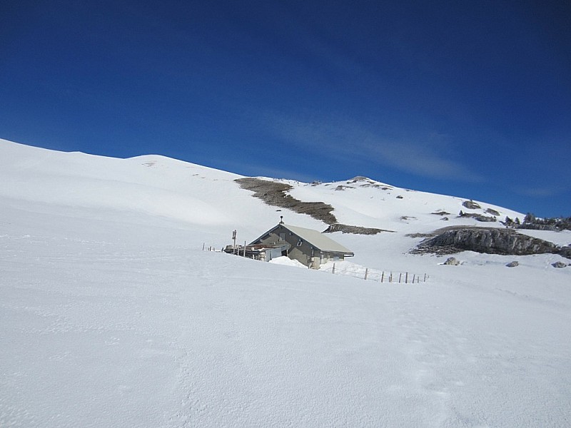 #1 thoiry devant : encore de la neige ici sur un versant SE thoiry devant : encore de la neige ici sur un versant SE