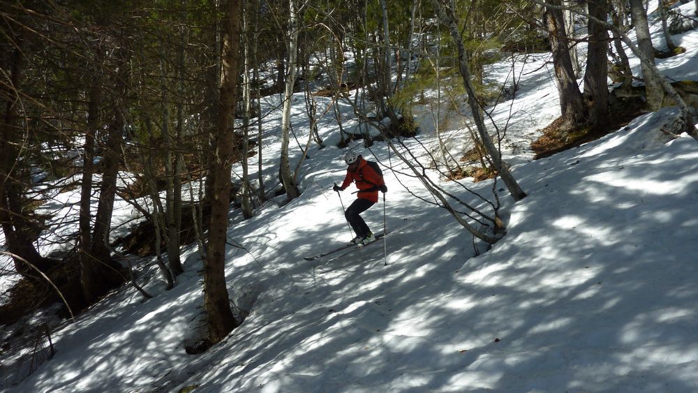 Ski foret : taillés pour la foret ces Black Powder !