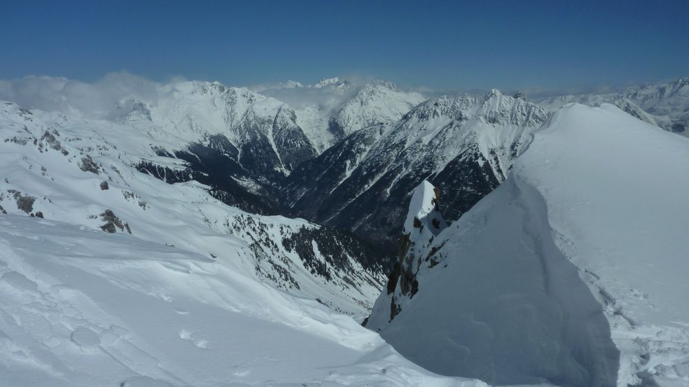 Vers le Nord : ça bourgeonne vers la Belle Etoile