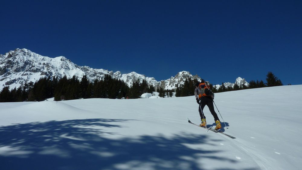 Sortie de la foret : Grand Pic de Belledonne à droite