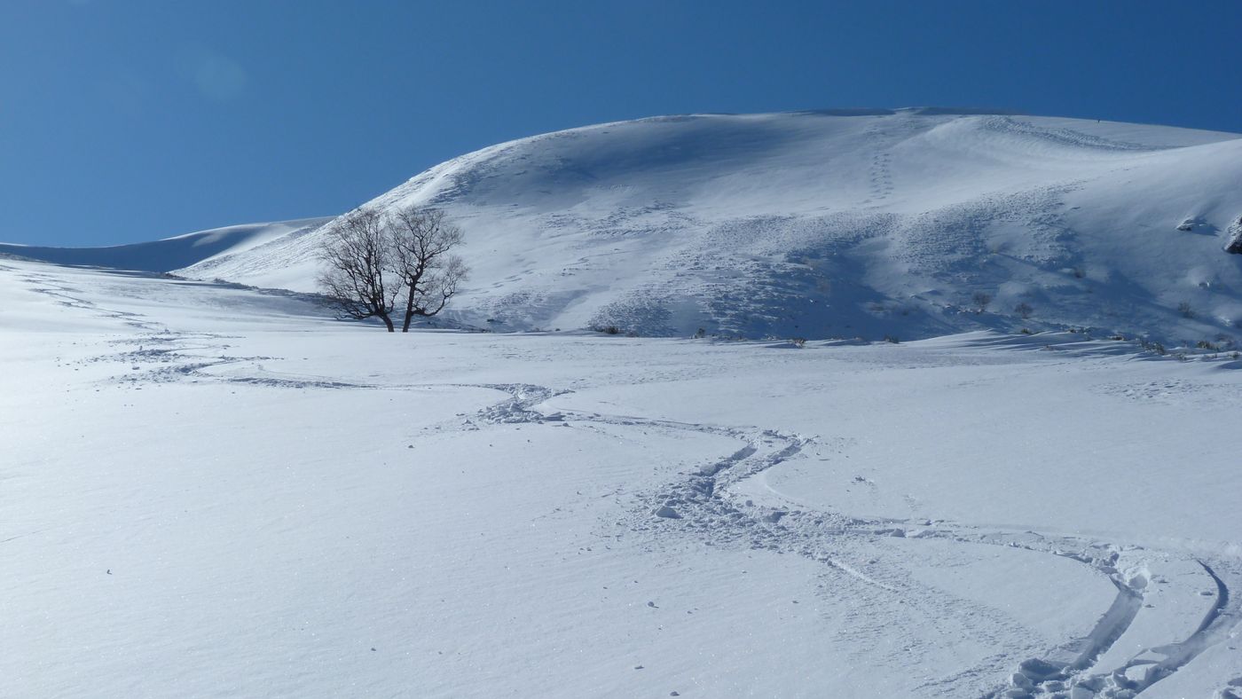 #4 Puy de la Tâche : Solitude Puy de la Tâche : Solitude