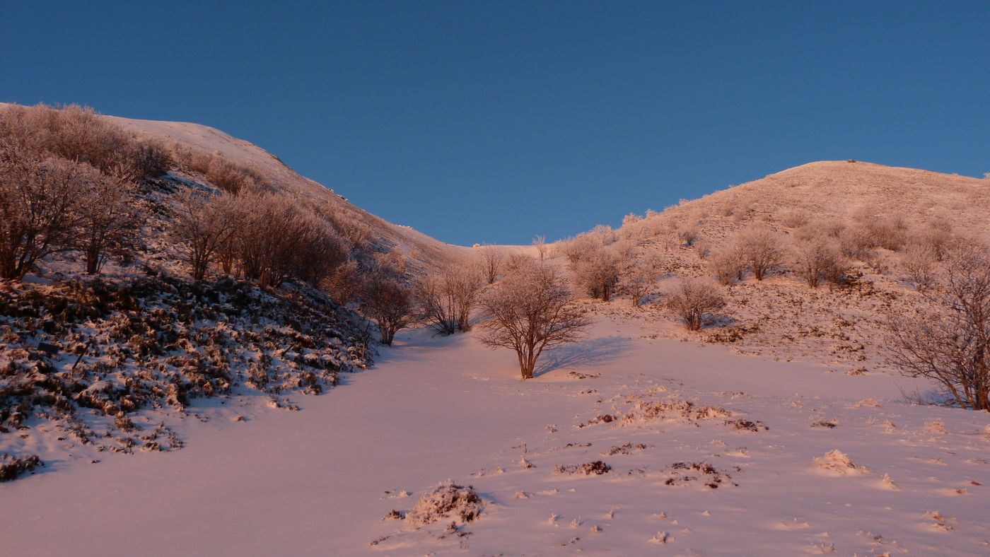 #14 Val Blanc : Le petit vallon pour rejoindre le Puy de la Tâche Val Blanc : Le petit vallon pour rejoindre le Puy de la Tâche