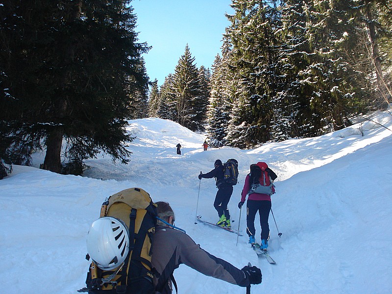 #1 PT DU DARD : depart dans la forêt PT DU DARD : depart dans la forêt