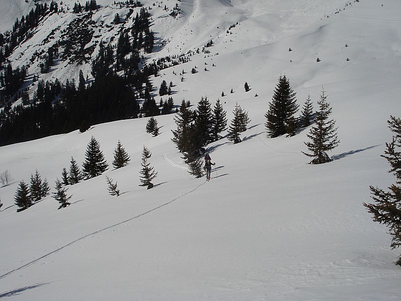 #21 PT DU DARD : remontée col de la gd combe PT DU DARD : remontée col de la gd combe