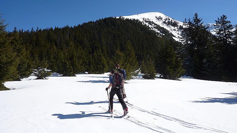 #1 foret au départ : sous le soleil, on fait peter la veste! foret au départ : sous le soleil, on fait peter la veste!