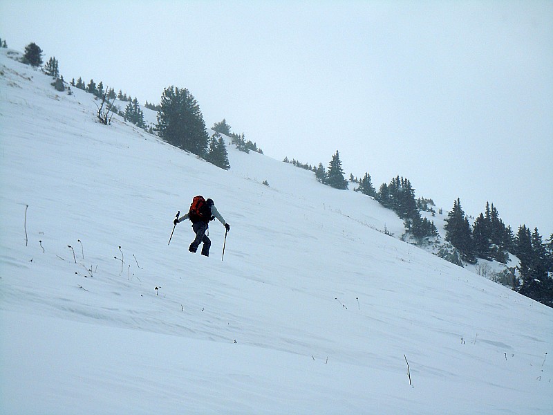 #5 Montagne de la Lanche : Eclaircie. C Montagne de la Lanche : Eclaircie. C'est reparti pour un 2ème tour de piste.
