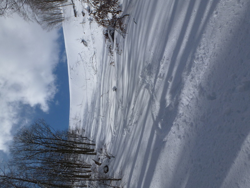 #4 sous la bérésina : debut du tricotage dans la "mini" combe sous la bérésina : debut du tricotage dans la "mini" combe