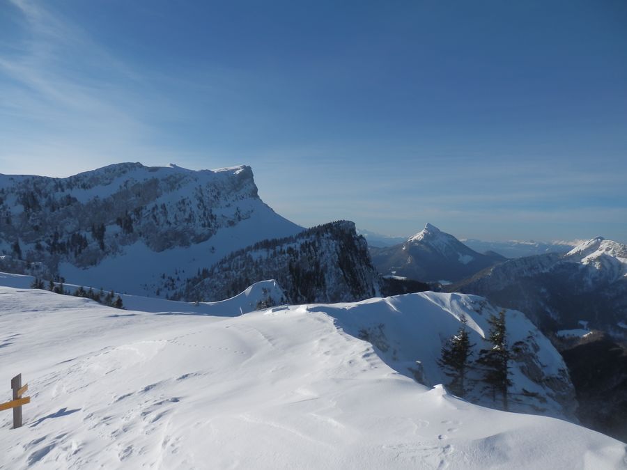 #3 Chartreuse : Encore dans son manteau d Chartreuse : Encore dans son manteau d'hiver