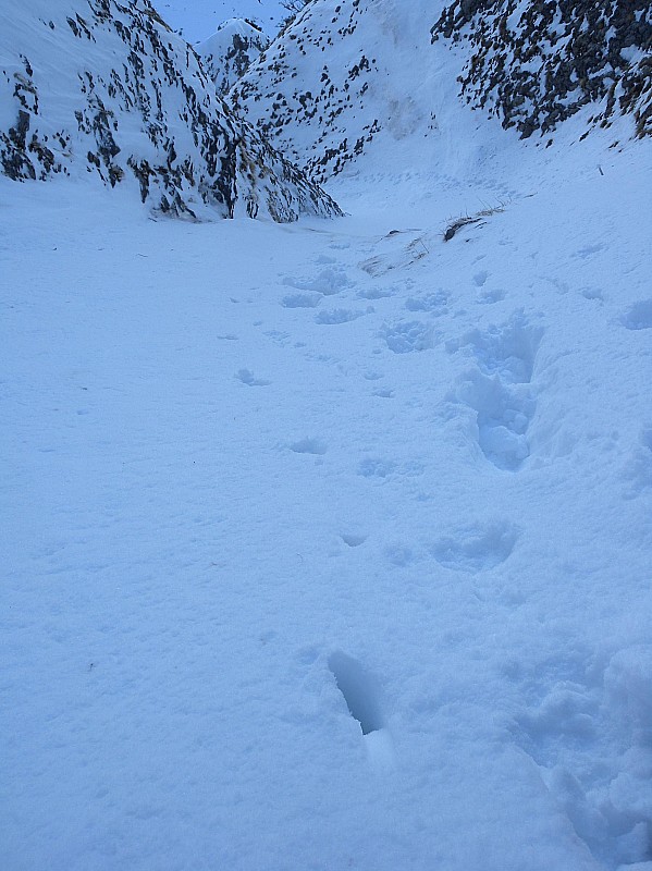 #2 couloir de départ : Bonne neige couloir de départ : Bonne neige