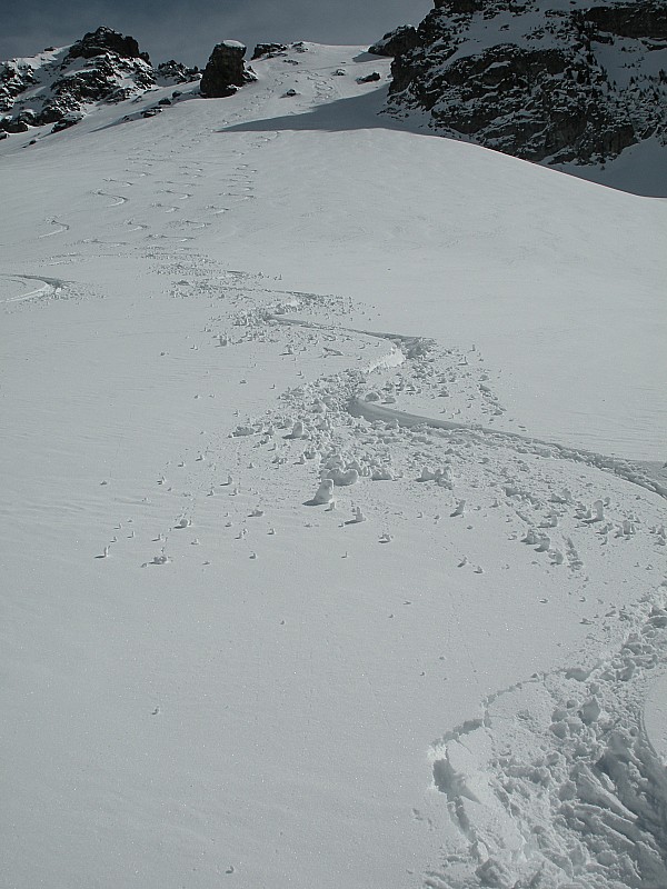 #4 Traces : Encore de bonnes traces : bons skieurs ou bonne neige ? Traces : Encore de bonnes traces : bons skieurs ou bonne neige ?