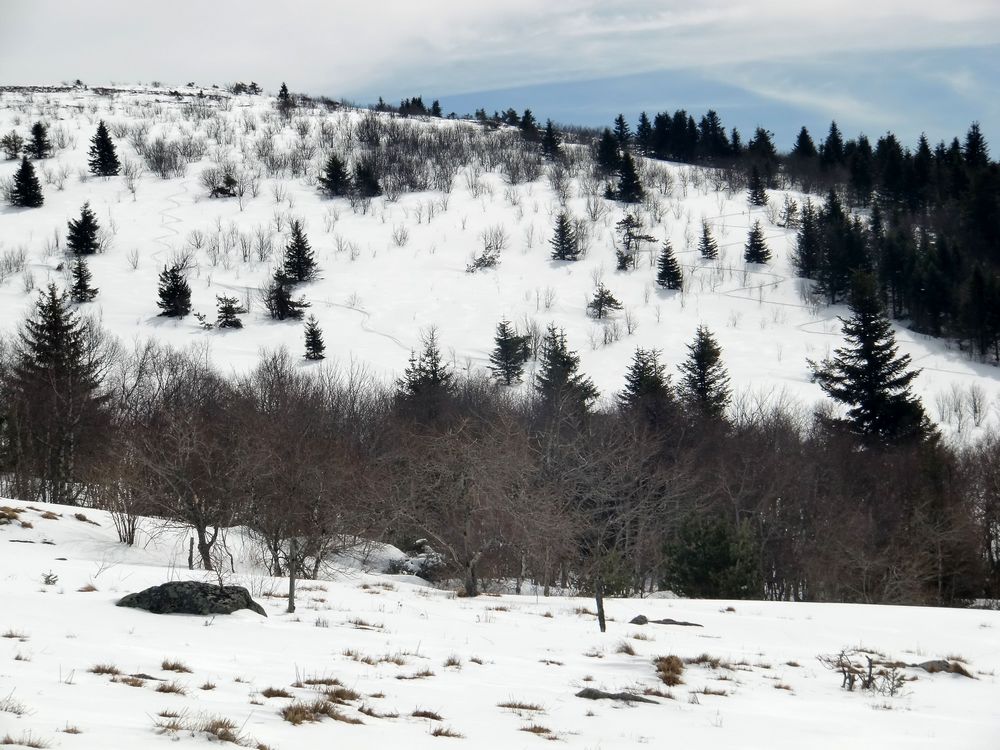 #8 Itinéraire : Mes traces de descente à gauche mais à droite? A qui sont elles? Itinéraire : Mes traces de descente à gauche mais à droite? A qui sont elles?