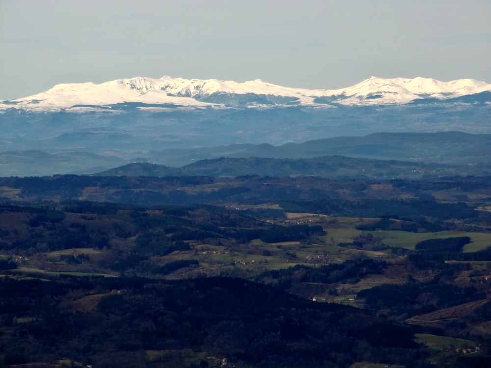 #5 Le sancy : Le cousin Auvergnat et son caractère plus alpin. Le sancy : Le cousin Auvergnat et son caractère plus alpin.