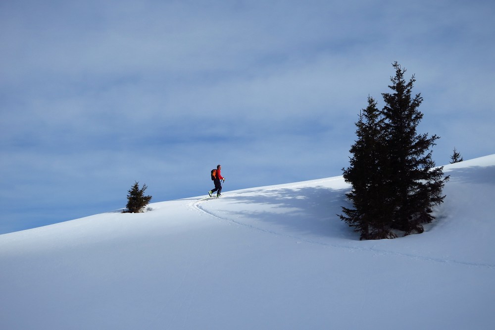 #1 Grande Valloire : Sortie de la forêt, vers le chalet de la petite valloire Grande Valloire : Sortie de la forêt, vers le chalet de la petite valloire