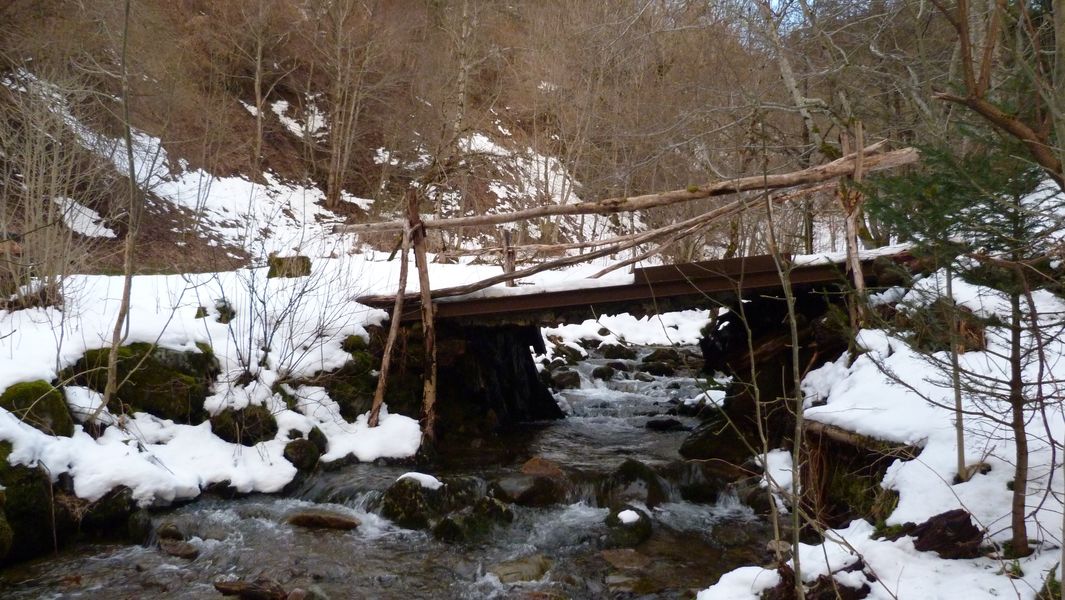 Ruisseau de Delbarat : Et son pont bien pratique.