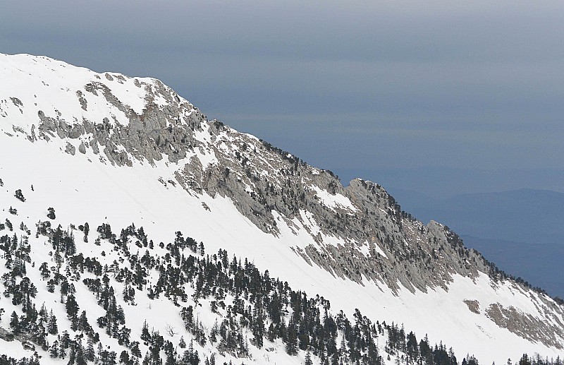 #7 Crête de la grande sure : Contrastes Crête de la grande sure : Contrastes