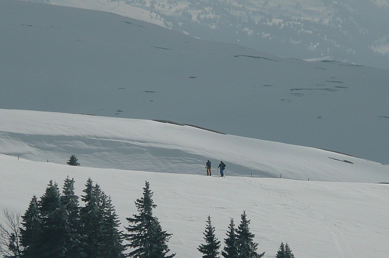 #2 Balladins du Colomby : Une belle ballade sur les Crètes du Jura Balladins du Colomby : Une belle ballade sur les Crètes du Jura