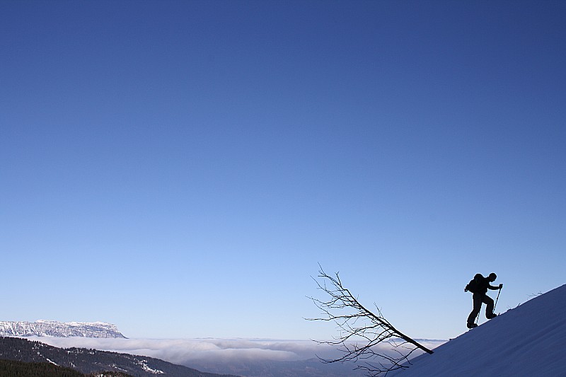 #1 oh hisse : pas facile le splitboard sur la neige dure... oh hisse : pas facile le splitboard sur la neige dure...