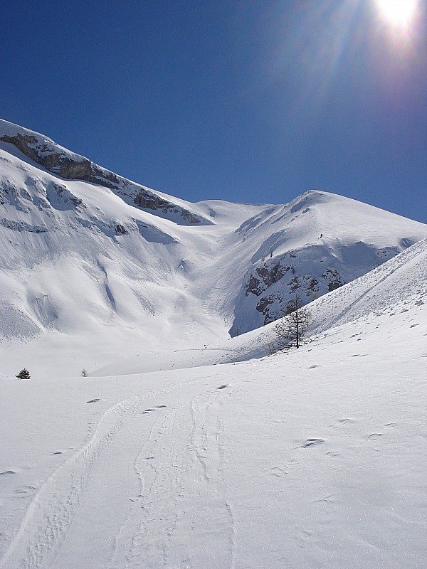 #1 ravin du loupon : sous un soleil éclatant juste une trace de montée descente... ravin du loupon : sous un soleil éclatant juste une trace de montée descente...