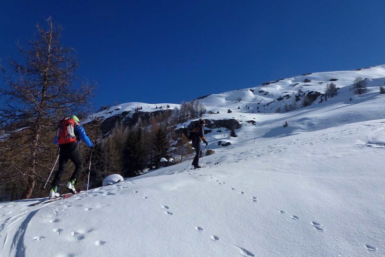 #3 Au dessus de l Au dessus de l'Orsière : A la limite supérieure de la forêt.