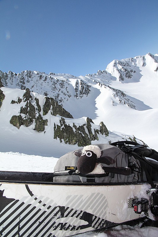 #6 Shaun : Prêt pour attaquer la montée du couloir Shaun : Prêt pour attaquer la montée du couloir