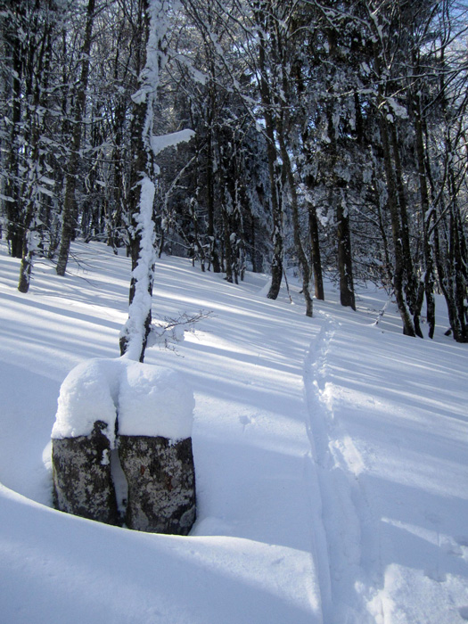 #1 Grand Ballon : En remontant du Lac du Ballon Grand Ballon : En remontant du Lac du Ballon
