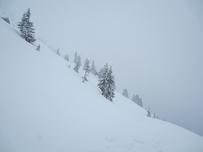 neige : Ca tombe dru, un bon 35cm vers 1780m