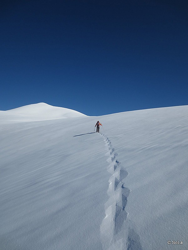 #2 La neige : est bien cartonnée La neige : est bien cartonnée