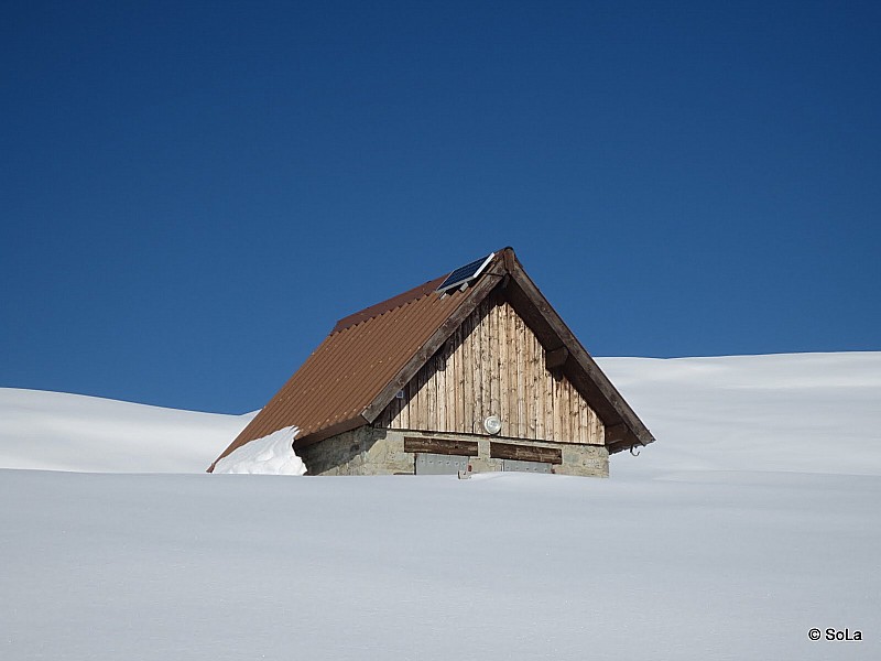 #1 La petite maison : pas dans la prairie ! La petite maison : pas dans la prairie !