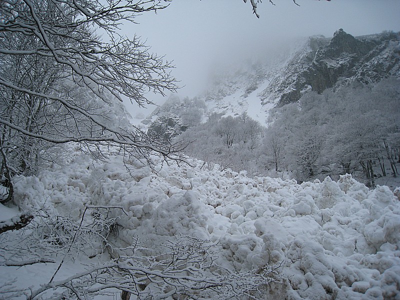 #4 Coulée Combe du Loup : C Coulée Combe du Loup : C'est du gros !