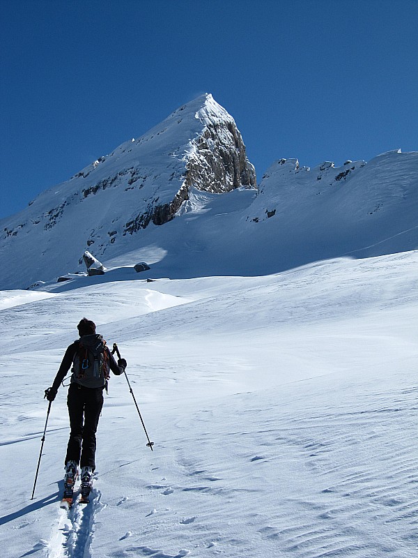 #2 Vue sur le haut : de la Crête des Hippocampes. Vue sur le haut : de la Crête des Hippocampes.