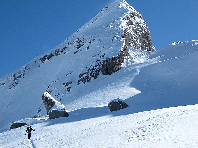 #4 Le haut de la Crête des : Hippocampes sous la Pointe d Le haut de la Crête des : Hippocampes sous la Pointe d'Ayères Sud.