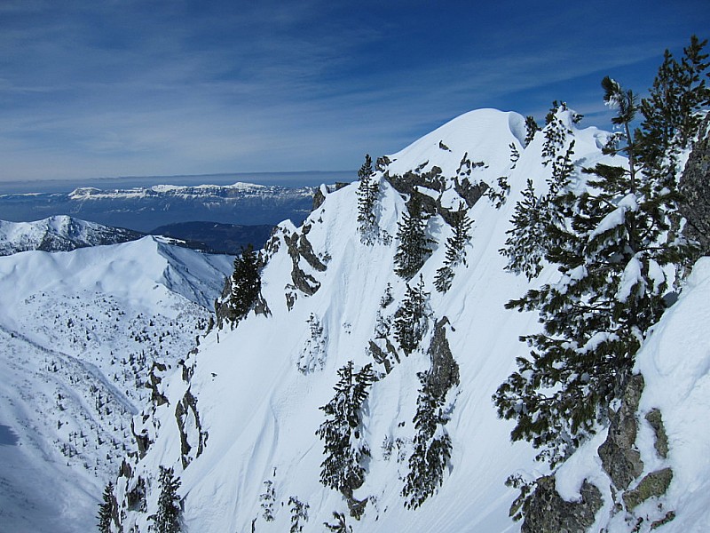 #4 Intime : Belle ambiance avec vue sur la Chartreuse. Intime : Belle ambiance avec vue sur la Chartreuse.