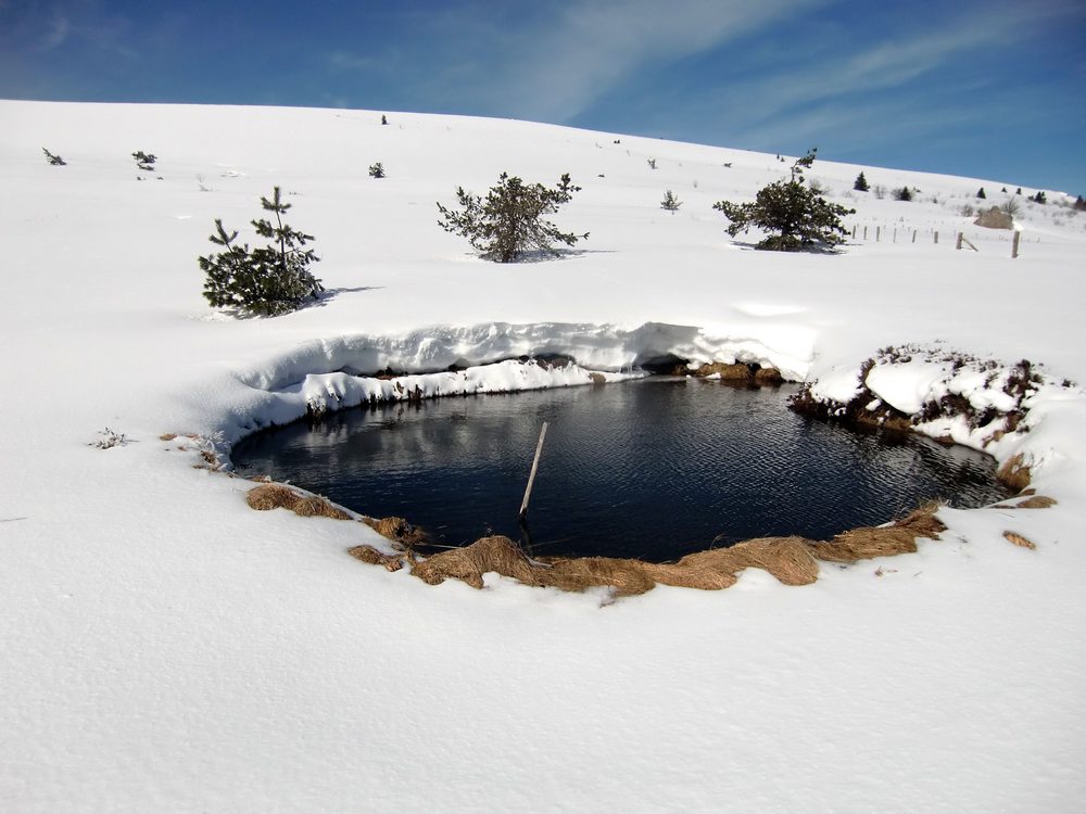 #7 Boutasse : Belle épaisseur, va falloir passer à la baignade bientôt! Boutasse : Belle épaisseur, va falloir passer à la baignade bientôt!