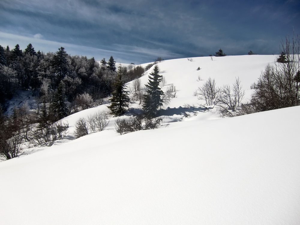 #4 combe : En descendant vers les Reblats. combe : En descendant vers les Reblats.