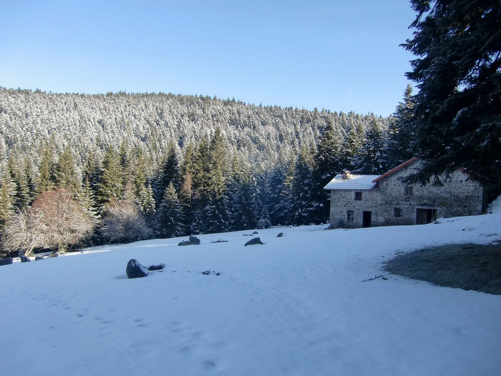 #1 buron de la Grosse Fond : Encore de la neige fraiche sur les sapins. buron de la Grosse Fond : Encore de la neige fraiche sur les sapins.